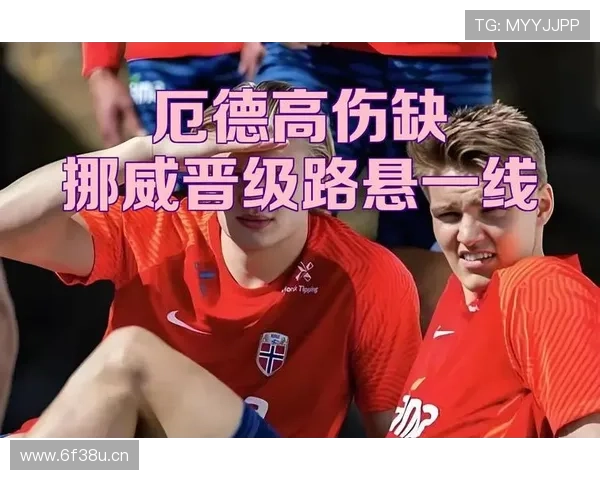 厄德高谈膝伤情况表示尚不严重